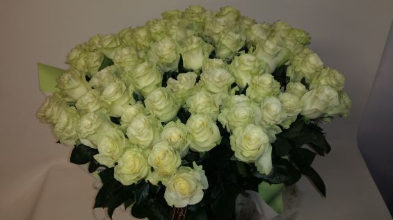 Bouquet de roses gros boutons blanches